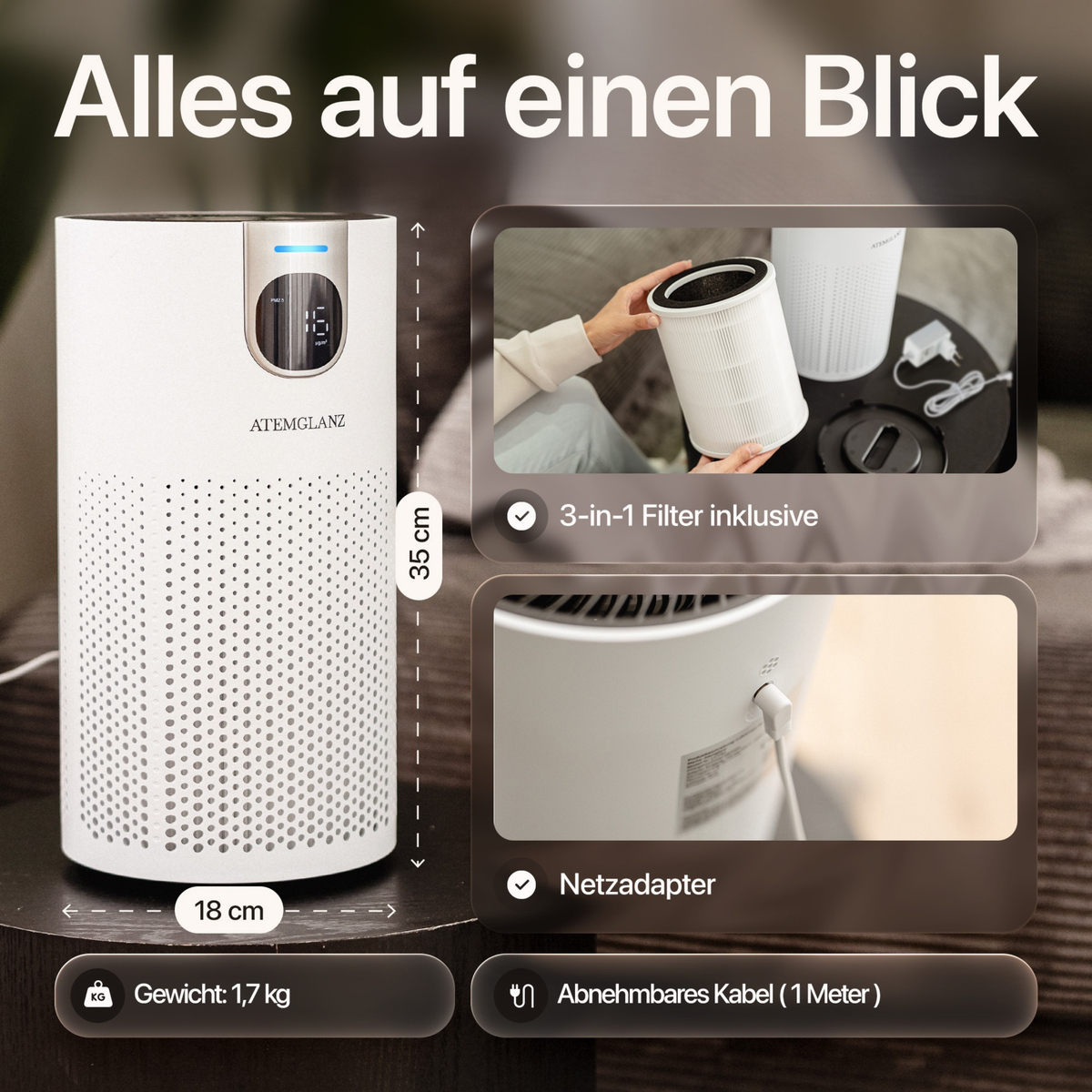 Atemglanz Pura Luftreiniger